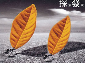 金融企業(yè)商標設(shè)計，深圳商標設(shè)計